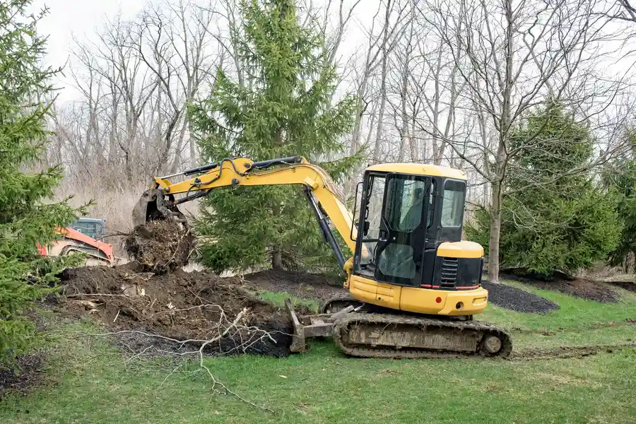 Experienced Stump Removal St. Louis, MO
